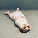 漏勺