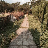 风筝与风
