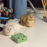柠檬