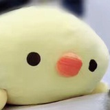 装逼青年→_→