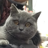 青稞酸钠