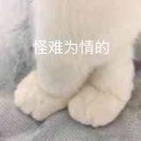 夏清凉风