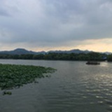 东木