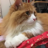 财喵宝贝