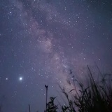 梧桐夜雨