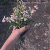 沐桐
