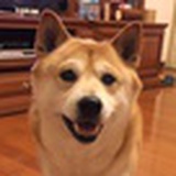 洪爱丝