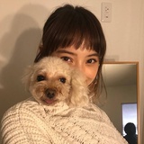 青青荷