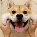 大熊青蛙