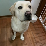 辰辰