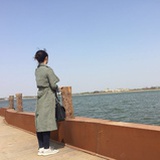 sybillay