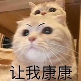 l绿了清澄一夏