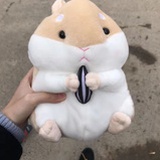 王小咩