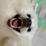 你吃了吗