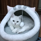 子规声里