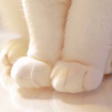 飞雪乱云