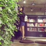 杨扬羊