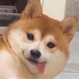 劲风挡不住