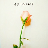 玫瑰路