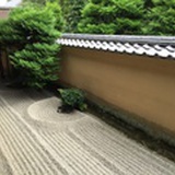 钱包怪