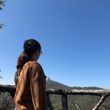若只如初见不变