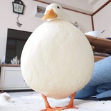 pangduner