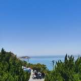 岁月静好_如歌