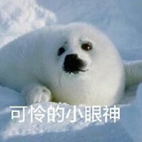 止水