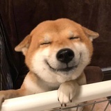 人间冰雪色