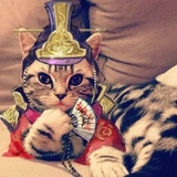 普黎斯叫我中二