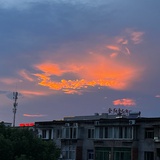 鱼的函数