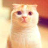 丢丢