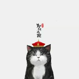 曼陀罗