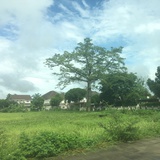 [已注销]