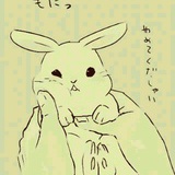 清新黄瓜君