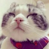 咕咕