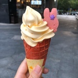 阳山桃子