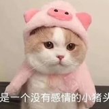不甜不要小钱钱