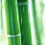 李果果
