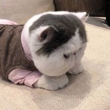 浪味仙