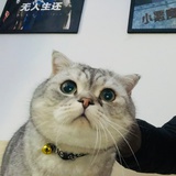 进击的元子