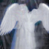 日安