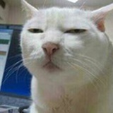 休倚危楼