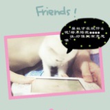 旺财