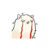 丨insonmia