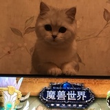 打的你抽抽