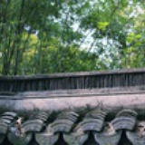 东方树叶果汁味