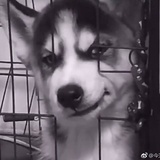 后街