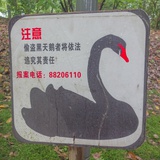 朱岚