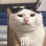 这是小号阿鲁